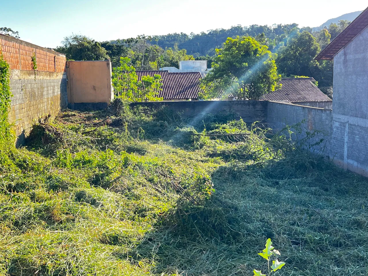 Terreno, 49 m² - Foto 3