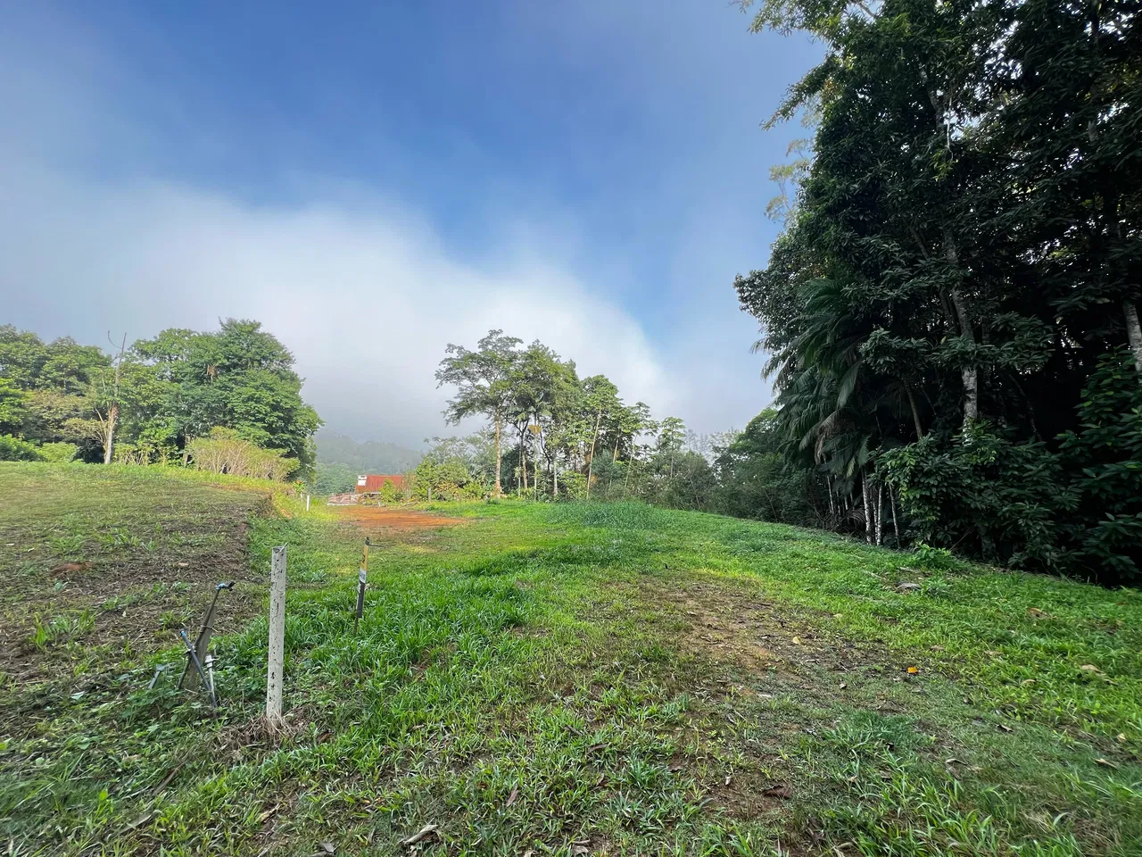 Terreno, 1078 m² - Foto 9